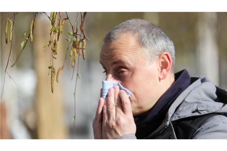 Allergiker müssen sich auf eine hohe Pollenbelastung einstellen.