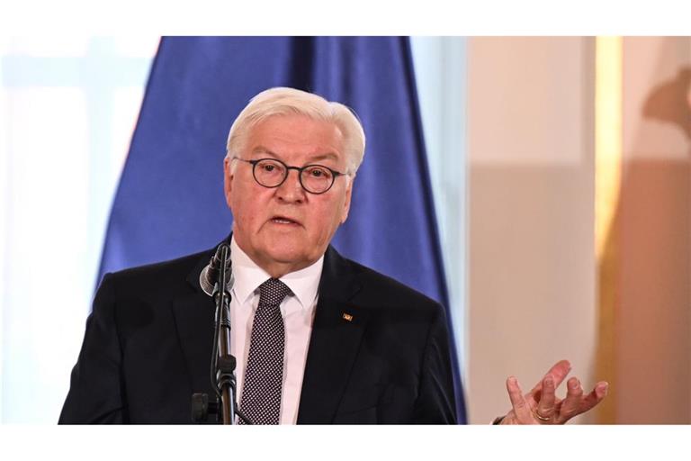 "Bundesregierung darf auch einen gewissen Entscheidungsspielraum haben": Bundespräsident Frank-Walter Steinmeier.