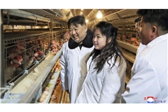 Der Diktator gibt sich gerne volkstümlich: Dieses von der nordkoreanischen Regierung zur Verfügung gestellte Foto zeigt Kim Jong Un (Mi.) am 7. Januar 2024  mit seiner Tochter bei der Besichtigung einer neu errichteten Hühnerfarm in Hwangju.