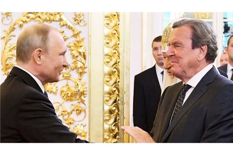 Putin, Schröder: eine Männerfreundschaft (Archivbild)