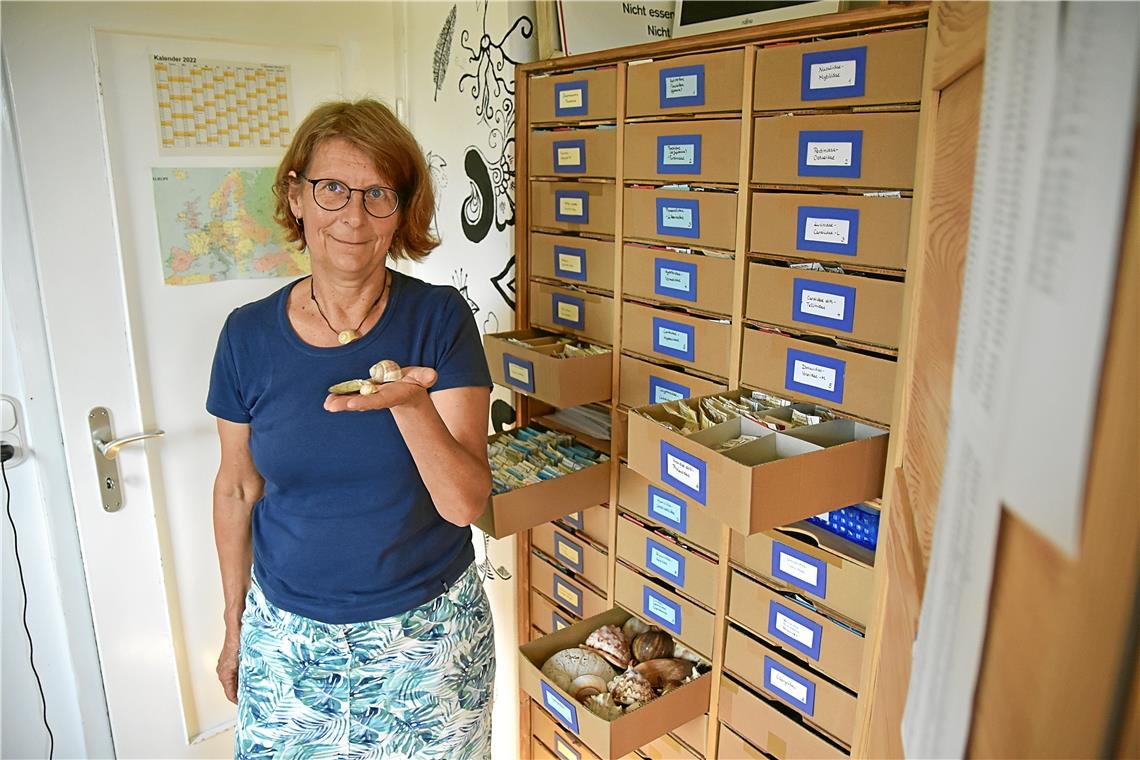 Schneckensammlerin Annette Rosenbauer vor ihrem Schrank mit tausenden Exemplaren...